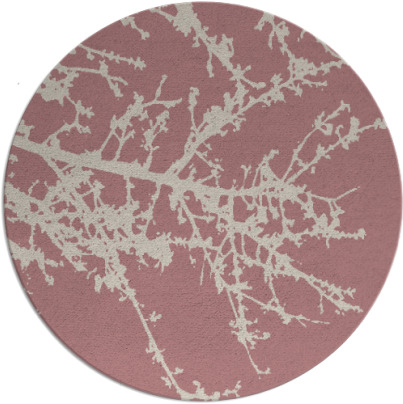 spruce rug - item 494301