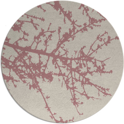 spruce rug - item 494302