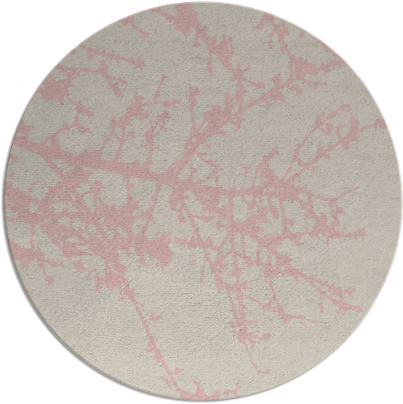 spruce rug - item 494304