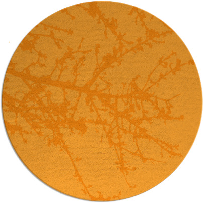 spruce rug - item 494306