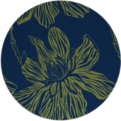 tulsa rug - item 509837