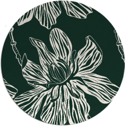 tulsa rug - item 509935