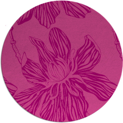 tulsa rug - item 510010