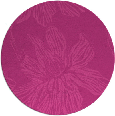 tulsa rug - item 510011