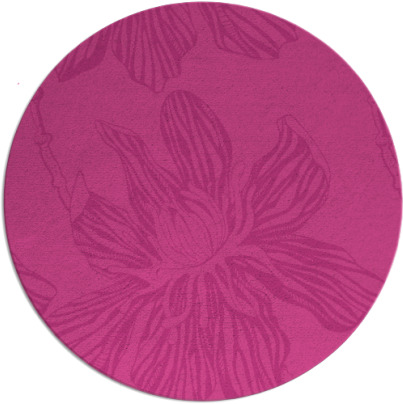 tulsa rug - item 510012