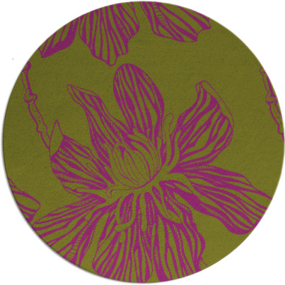 tulsa rug - item 510032