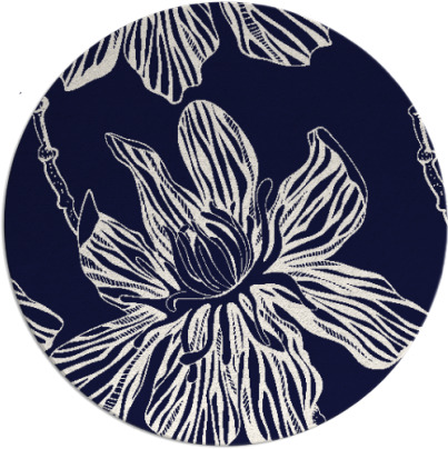 tulsa rug - item 510043