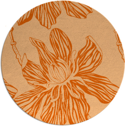 tulsa rug - item 510062