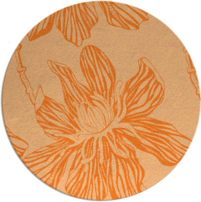 tulsa rug - item 510064