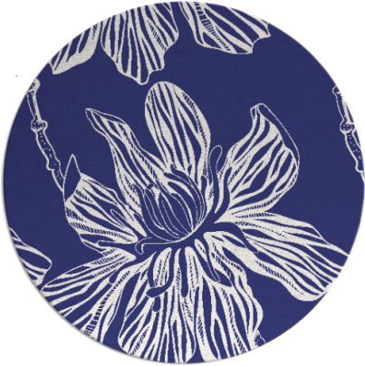 tulsa rug - item 510082