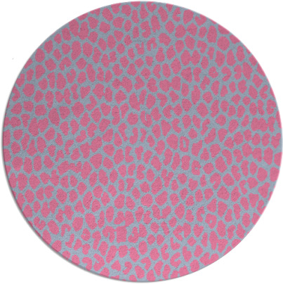 tunya rug - item 511611