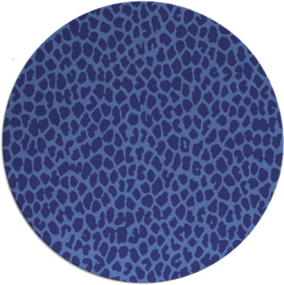 tunya rug - item 511843