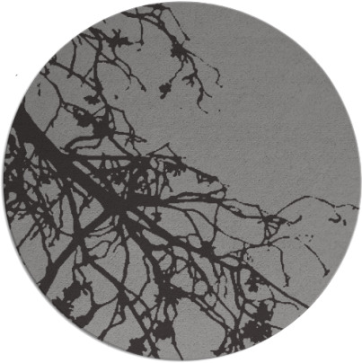 windswept rug - item 530967