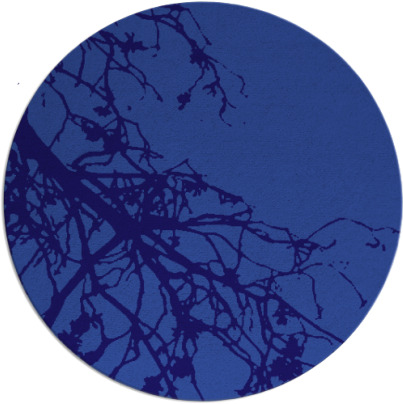 windswept rug - item 531025