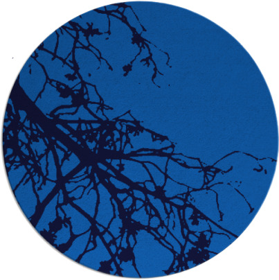 windswept rug - item 531089