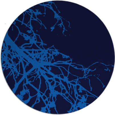 windswept rug - item 531090