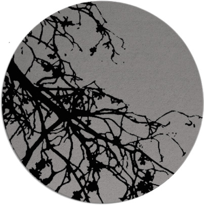 windswept rug - item 531095