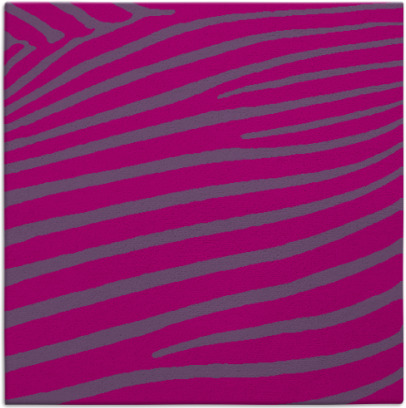 zebra rug - item 531655