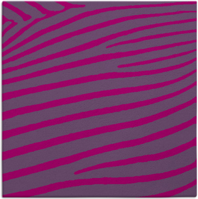 zebra rug - item 531656