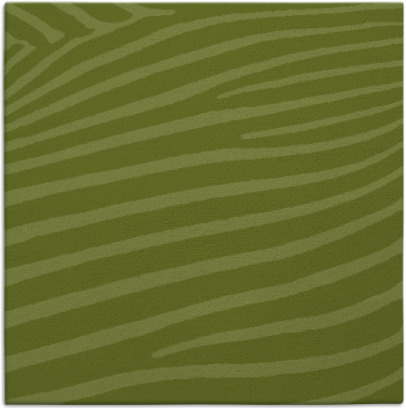 zebra rug - item 531664