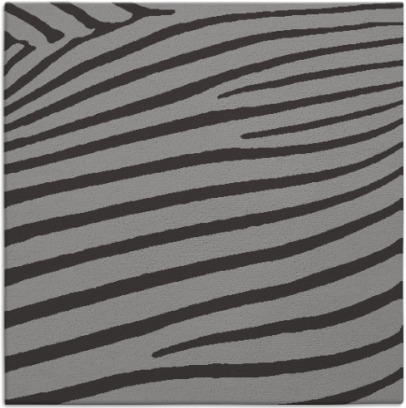 zebra rug - item 531672