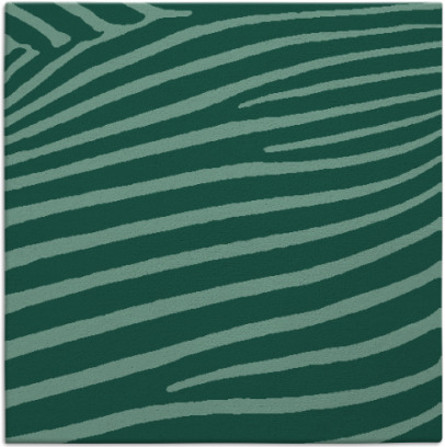 zebra rug - item 531684