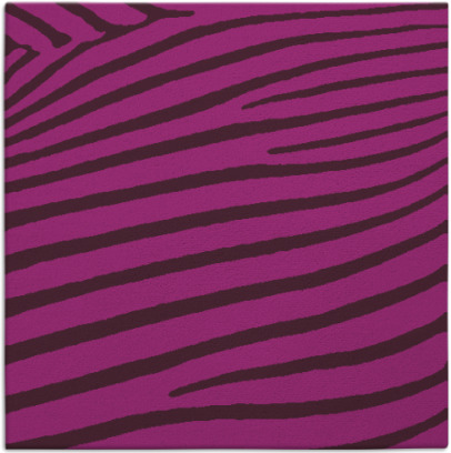zebra rug - item 531691