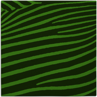 zebra rug - item 531695