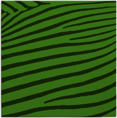 zebra rug - item 531696