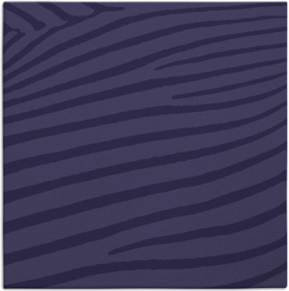 zebra rug - item 531711
