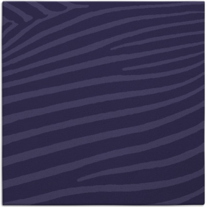 zebra rug - item 531712