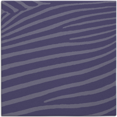 zebra rug - item 531715