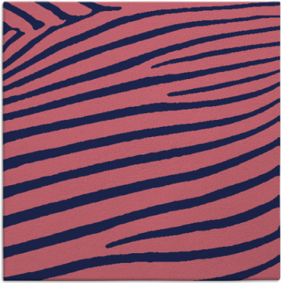 zebra rug - item 531717