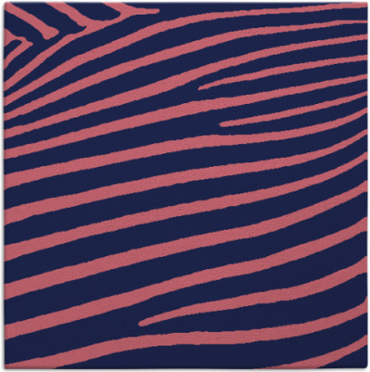 zebra rug - item 531718