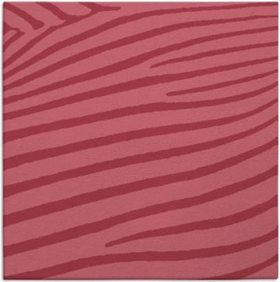 zebra rug - item 531719