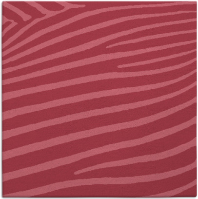 zebra rug - item 531720