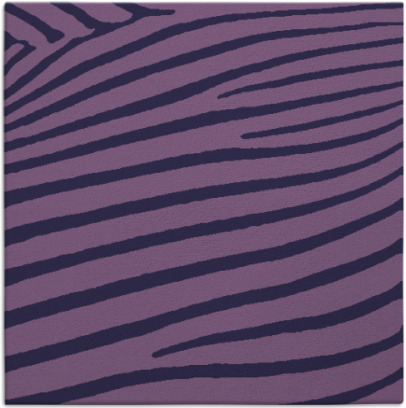 zebra rug - item 531721