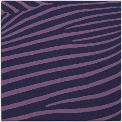 zebra rug - item 531722