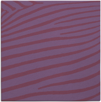 zebra rug - item 531723
