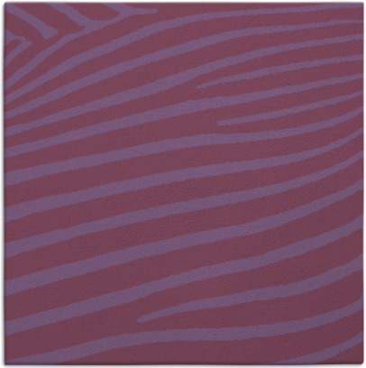 zebra rug - item 531724