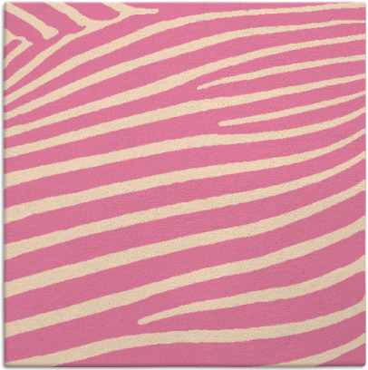 zebra rug - item 531726