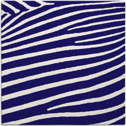 zebra rug - item 531731