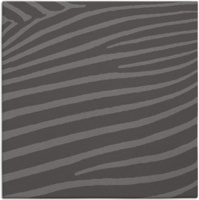 zebra rug - item 531774