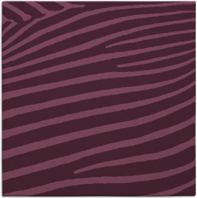 zebra rug - item 531787
