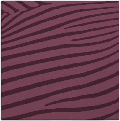 zebra rug - item 531788