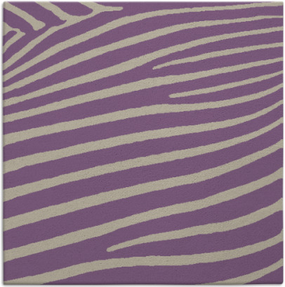 zebra rug - item 531805
