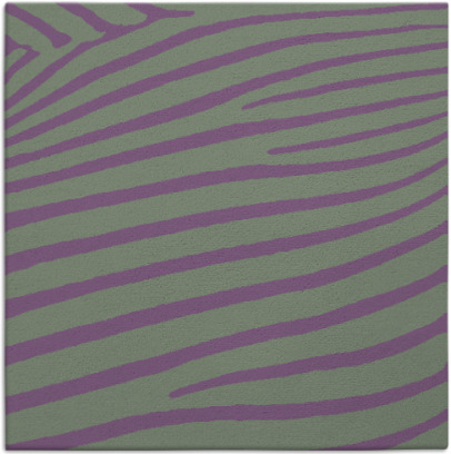 zebra rug - item 531808