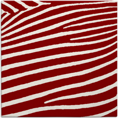 zebra rug - item 531820