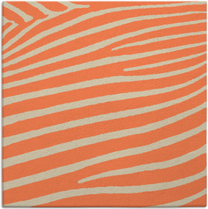zebra rug - item 531822