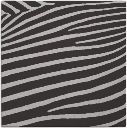 zebra rug - item 531826